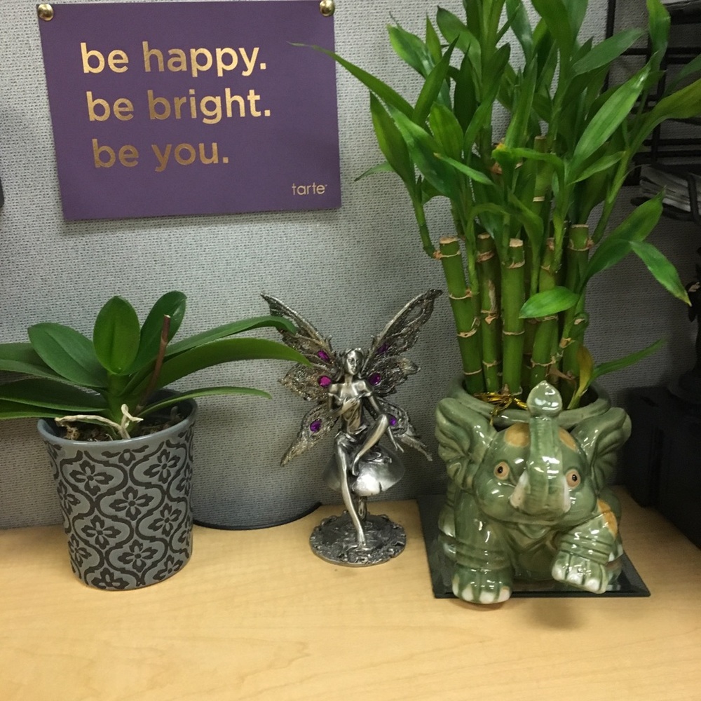 Meet your Posher, Roxie